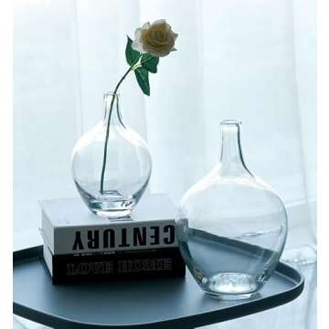 Clear Glass Vase for Pampas Grass Flowers Clear Vase for Decor Small Glass Vase for Dining Table Centerpiece Decorative Vase for Living Room Home Decor Shelf Decor Glass Demijohn 7.9 inch Tall