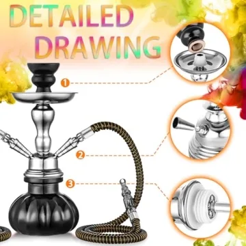 Compact 2 Hose Hookah Set for Portable Enjoyment