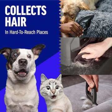 ChomChom Roller & Detailer Bundle for Easy Pet Hair Removal