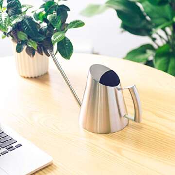 IMEEA Stainless Steel Watering Can for Indoor Plants 30oz