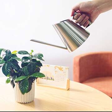 IMEEA Stainless Steel Watering Can for Indoor Plants 30oz