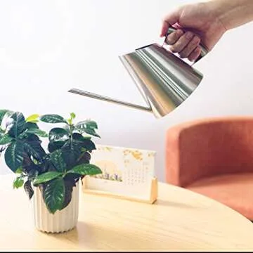 IMEEA Stainless Steel Watering Can for Indoor Plants 30oz