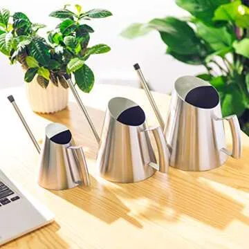 IMEEA Stainless Steel Watering Can for Indoor Plants 30oz
