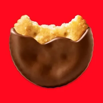 RITZ Fudge Covered Holiday Crackers 7.8 oz Limited Edition