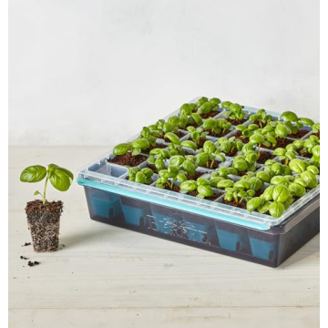 Burpee SuperSeed Seed Starting Tray for Indoor Gardening