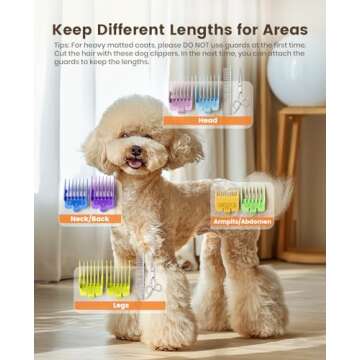 oneisall Dog Grooming Clippers for Thick Heavy Coats,Low Noise Cordless Dog Grooming Kit with Metal Blades, All Stainless Steel, 2 Speeds