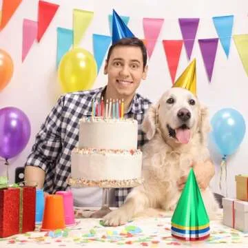 Sumind Colorful Birthday Party Hats Party Cone Hats Metallic Foil Cone Hats Birthday Paper Hats (15)