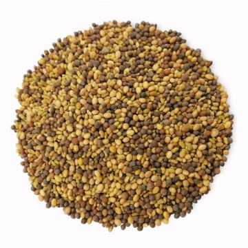 Food to Live Organic Antioxidant Mix Sprouting Seeds 1 Pound