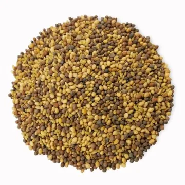 Food to Live Organic Antioxidant Mix Sprouting Seeds 1 Pound