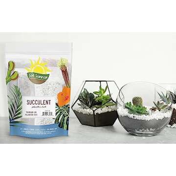 Succulent Terrarium Planter Kit, DIY Set with Soil, Pumice, Horticultural Charcoal, Sphagnum Moss, Red Lava Rock