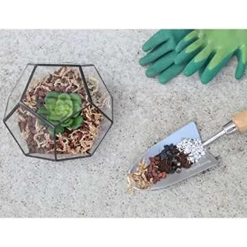 Succulent Terrarium Planter Kit, DIY Set with Soil, Pumice, Horticultural Charcoal, Sphagnum Moss, Red Lava Rock