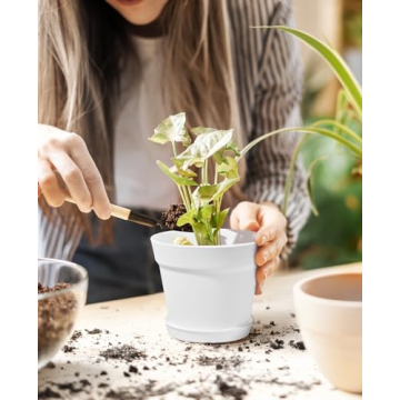 Homenote Pots for Plants, 15 Pack 6 Inch Plastic Planters with Multiple Drainage Holes and Trays,Plant Pots for All Home Garden Flowers Succulents (White)