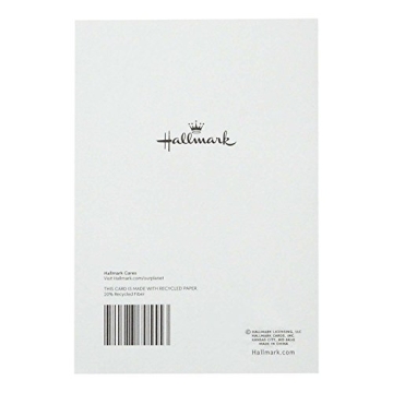Hallmark Wedding Cards Set of 5 with Envelopes