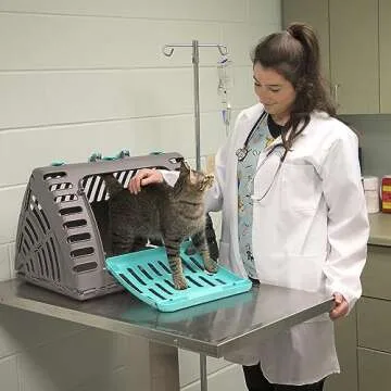 Sport Pet Designs Foldable Cat Carrier for Easy Travel