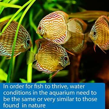 API 5-in-1 Test Strips Freshwater and Saltwater Aquarium Test Strips 25-Count Box