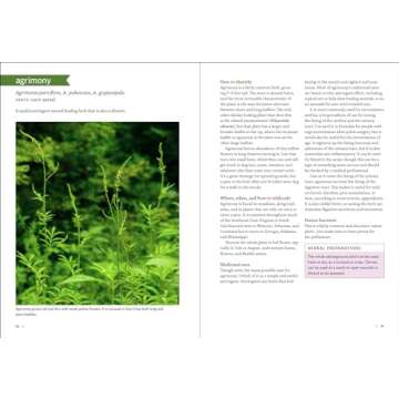 Southeast Medicinal Plants: Identify, Harvest, and Use 106 Wild Herbs for Health and Wellness (Medicinal Plants Series)