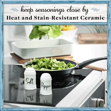 Ceramic Farmhouse Salt and Pepper Shakers Set