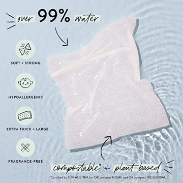 Honest Company Clean Conscious Wipes for All Skin Types, 10 Count