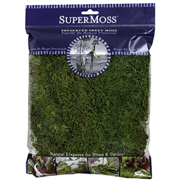 SuperMoss Preserved Sheet Moss - Fresh Green, 8oz for Impressive Decor