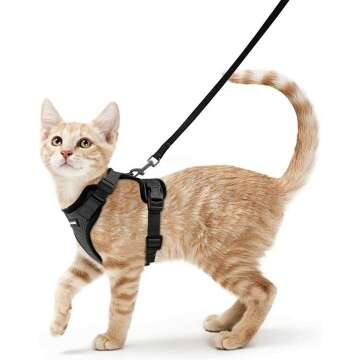 Escape Proof Cat Harness and Leash - Black XS