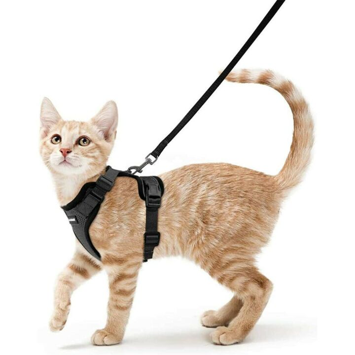 Escape Proof Cat Harness and Leash - Black XS