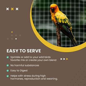 Bird Street Bistro Organic Hulled Millet Bird Seed - Bird Food - Millet for Birds and Canary, Finches, Small Wild Bird Food – Bird Feed with no Harmful substances, no fillers – White Millet Hulled