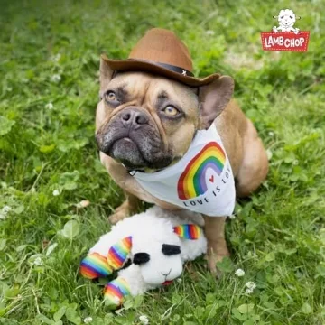 Multipet Mini Lamb Chop Officially Licensed, Plush, Squeak Pet Toy (White, 10')