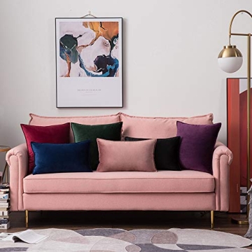 Luxurious MIULEE Velvet Pillow Covers Soft Durable 24x24