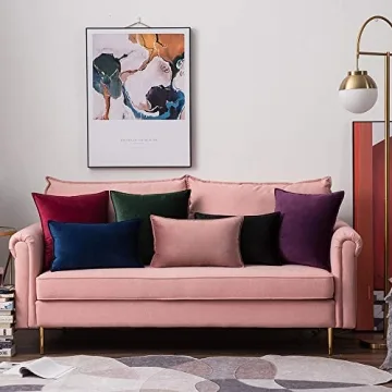 Luxurious MIULEE Velvet Pillow Covers Soft Durable 24x24