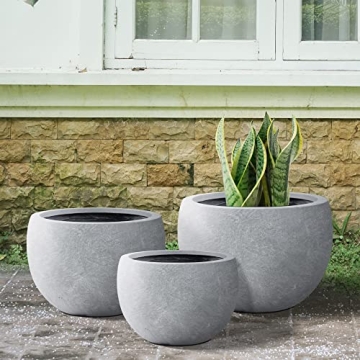 Stylish Concrete Planter Set - Elegant and Functional Planters