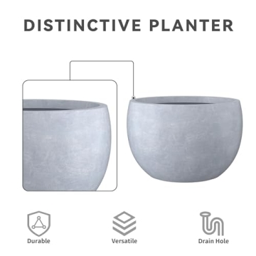 Stylish Concrete Planter Set - Elegant and Functional Planters