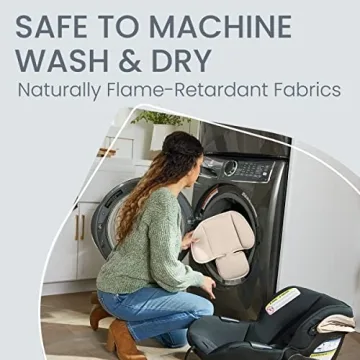 Britax Willow Brook S+ Travel System for Infants and Strollers