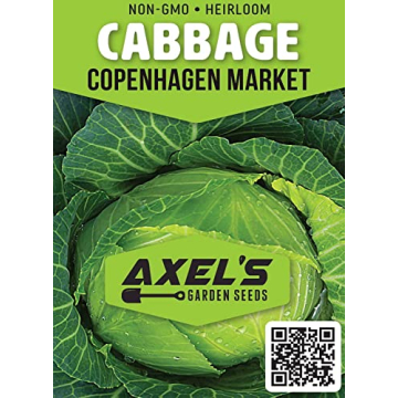 Cabbage Seeds for Planting - Non-GMO Heirloom Cabbage Seeds