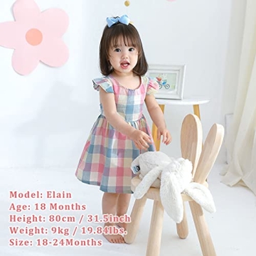 Zanie Kids Baby Girl Dress for Infants 18-24 Months