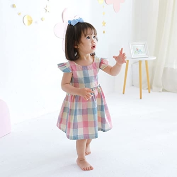 Zanie Kids Baby Girl Dress for Infants 18-24 Months