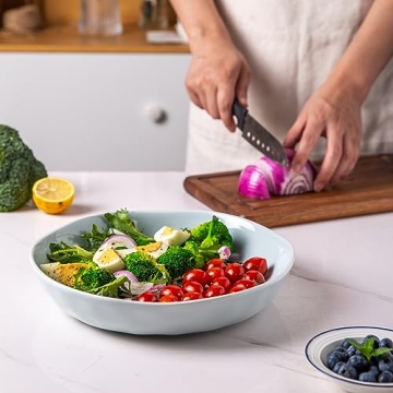 LERATIO 9.75 Ceramic Flat Pasta Bowls Set of 4