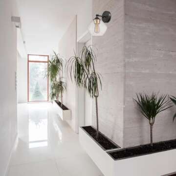 Globe Electric 51367 1-Light Wall Sconce, Matte Black, Gold Accent Socket, Clear Glass Shade, Wall-L...