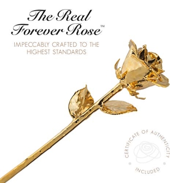24K Gold Dipped Rose - Lasting Love Gift