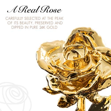 24K Gold Dipped Rose - Lasting Love Gift