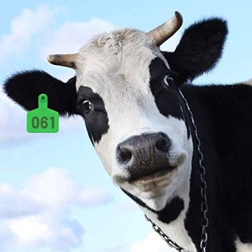 Durable Plastic Livestock Ear Tag Set with Applicator