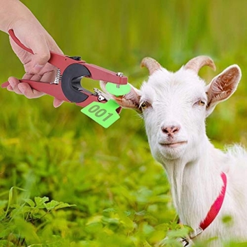 Durable Plastic Livestock Ear Tag Set with Applicator