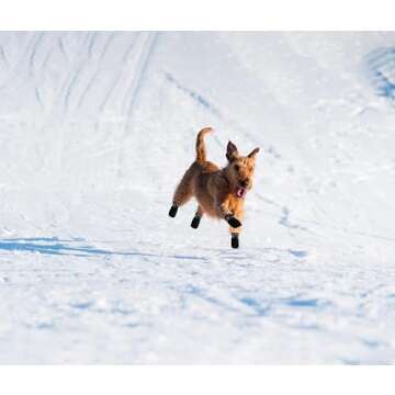 YAODHAOD Dog Shoes for Winter, Dog Boots & Paw Protectors, Fleece Warm Snow Booties for Puppy with R...