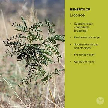 Banyan Botanicals Licorice Root Powder - Natural Health Herb