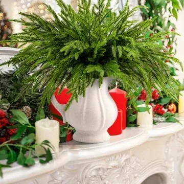 19" Norfolk Pine Branches - Perfect for Holiday Decor