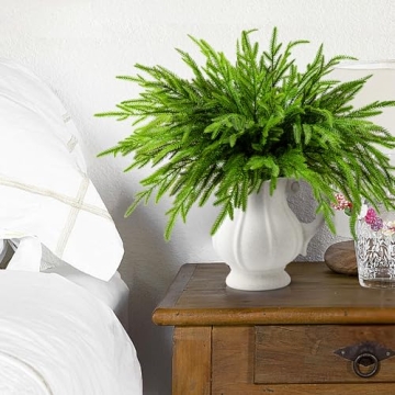 19" Norfolk Pine Branches - Perfect for Holiday Decor