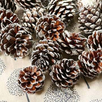 Cooraby 24 Pieces Christmas Pine Cones Ornament Natural PineCones with String Pendant Crafts for Gift Tag Christmas Tree Party Hanging Decoration (Snow)