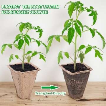 QDBNW 240 Cells Seed Starter Tray Kit, Biodegradable Peat Pots for Seedlings Trays, Plant Starter Seed Germination Kit with 40 Labels and 2 Transplant Tools (20, 240 Cells)