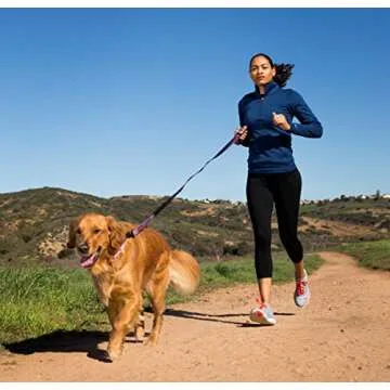 HALTI Active Leash - Bungee Dog Leash for Running & Training