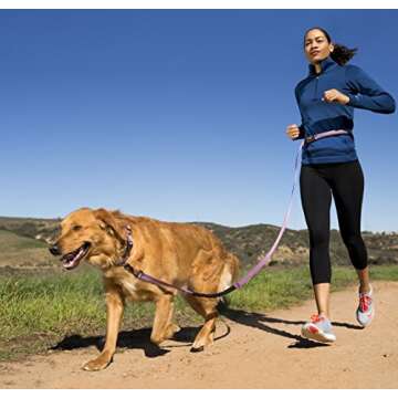 HALTI Active Leash - Bungee Dog Leash for Running & Training