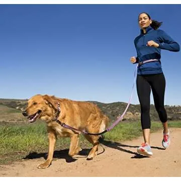 HALTI Active Leash - Bungee Dog Leash for Running & Training